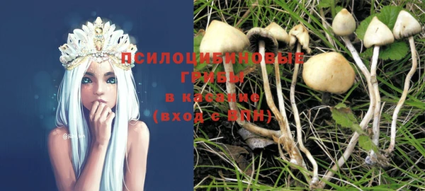 герыч Зеленодольск