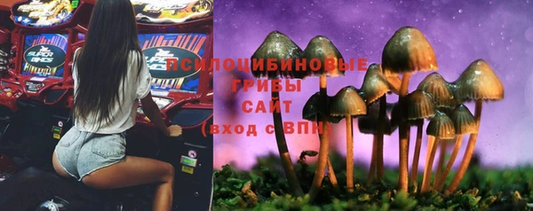 герыч Зеленодольск