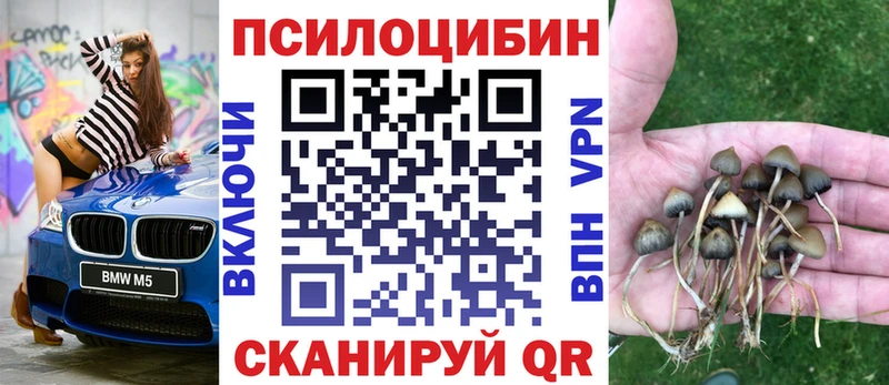 Купить где Миньяр Галлюциногенные грибы ЛСД